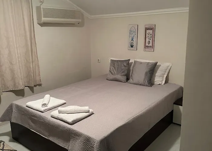 Zoia 3* Черноморец